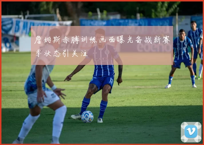 詹姆斯赤膊训练画面曝光备战新赛季状态引关注