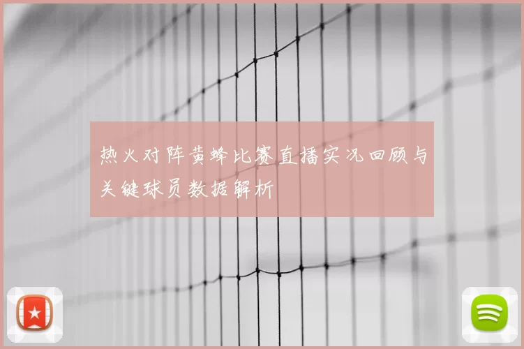 热火对阵黄蜂比赛直播实况回顾与关键球员数据解析