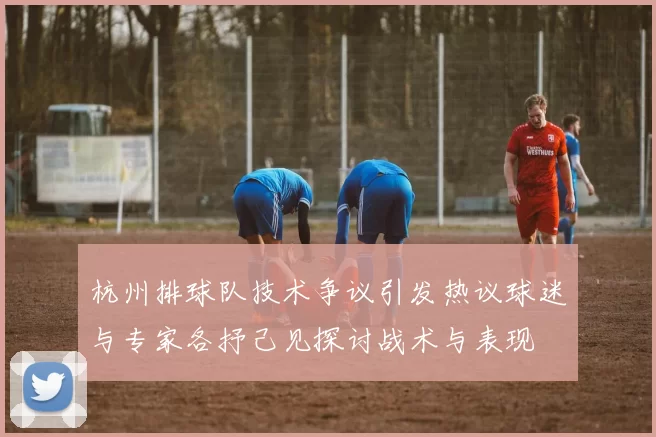 杭州排球队技术争议引发热议球迷与专家各抒己见探讨战术与表现