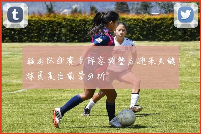 猛龙队新赛季阵容调整后迎来关键球员复出前景分析