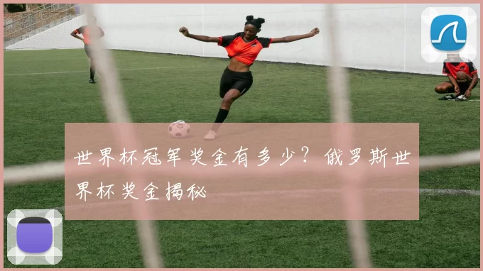 世界杯冠军奖金有多少？俄罗斯世界杯奖金揭秘