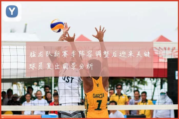 猛龙队新赛季阵容调整后迎来关键球员复出前景分析
