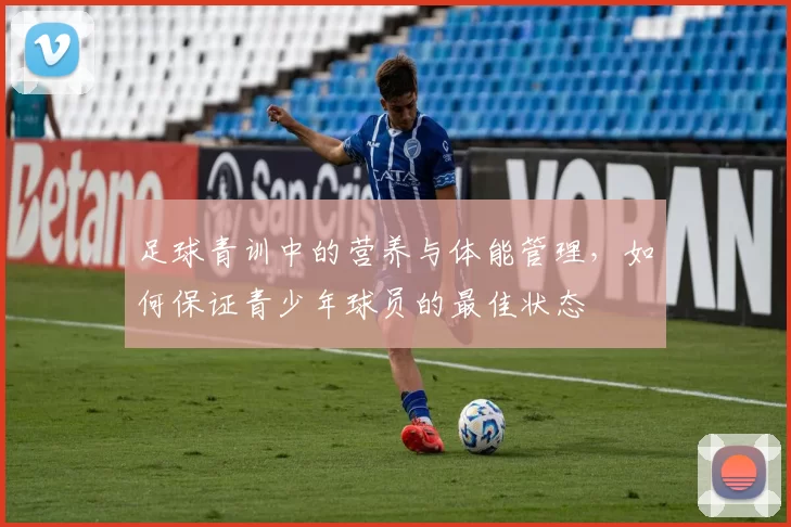 足球青训中的营养与体能管理,如何保证青少年球员的最佳状态