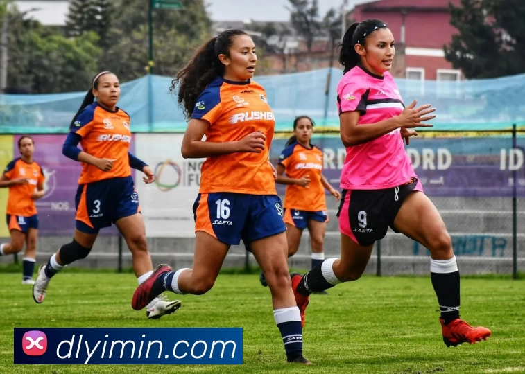 华体会app平台生态图