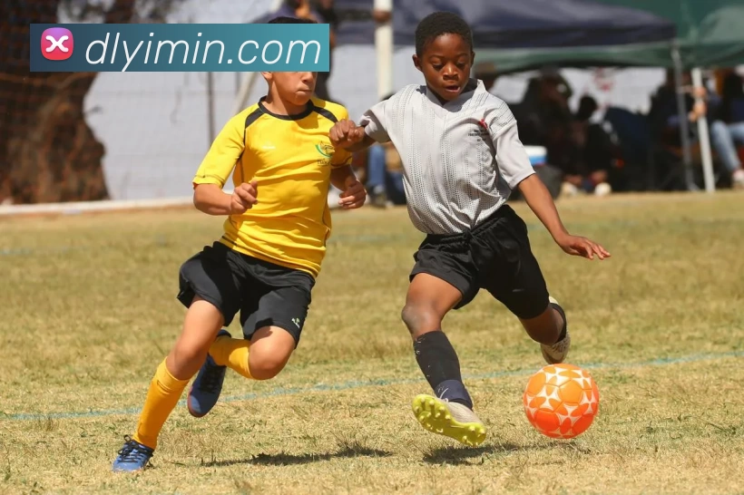 华体会appAPP 封面图